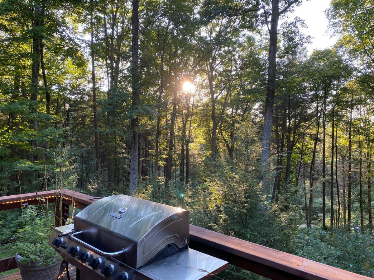 Beautiful Cabin On 83 Acres Near New River Gorge National Park Hico Exterior photo