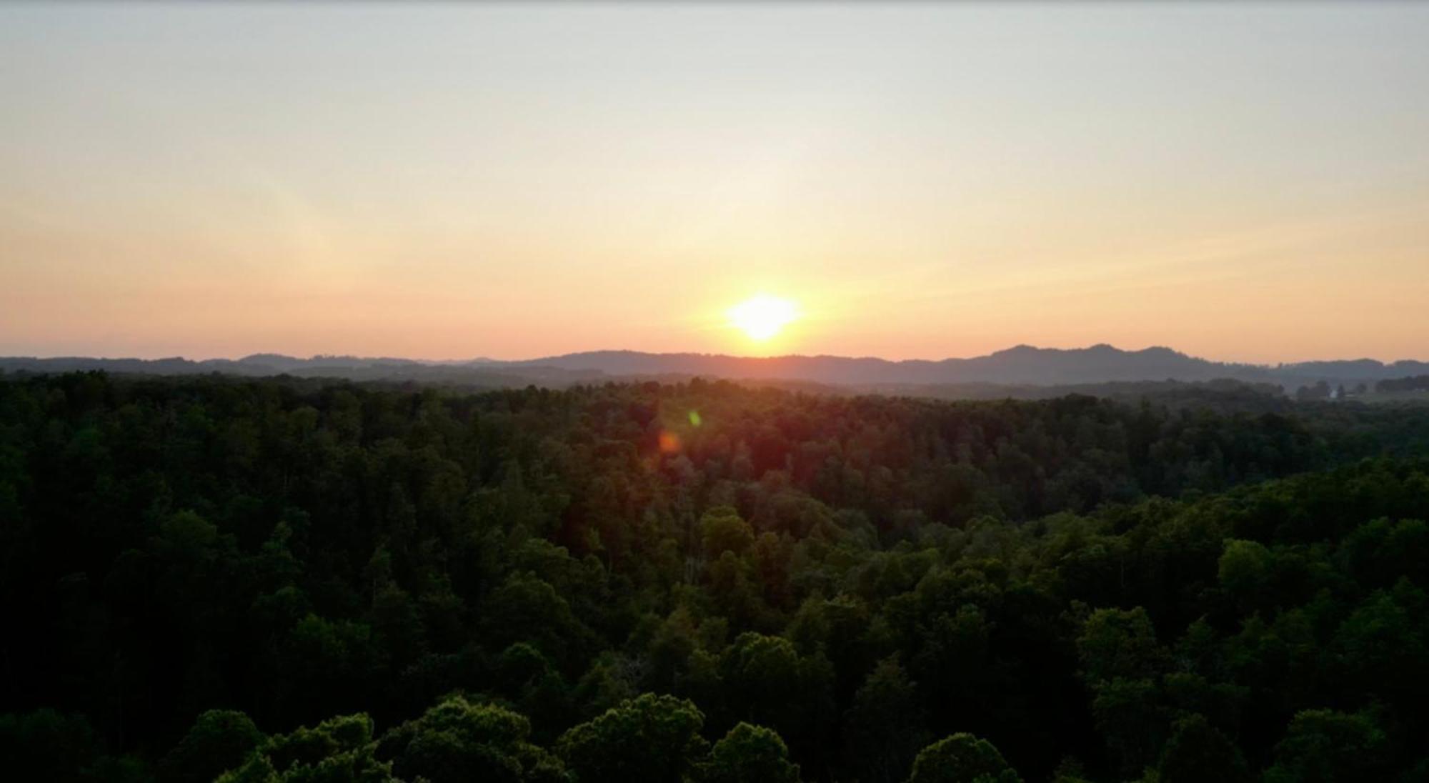 Beautiful Cabin On 83 Acres Near New River Gorge National Park Hico Exterior photo